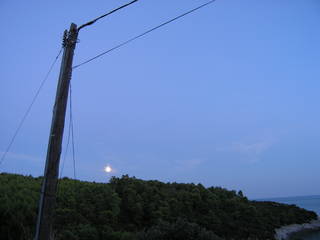 vor